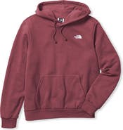 The North Face Big & Tall Big Evolution Simple Dome Hoodie