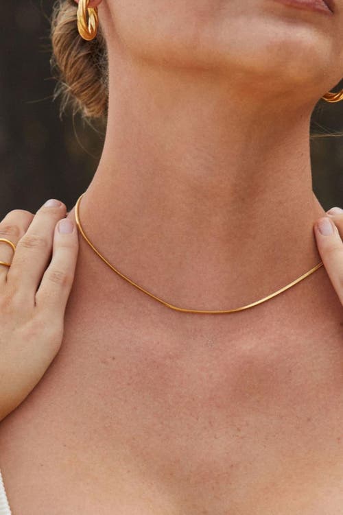 Atolea Fine Choker In Gold