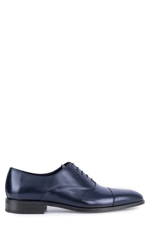 Vellapais Dinero Perforated Oxford In Navy Blue