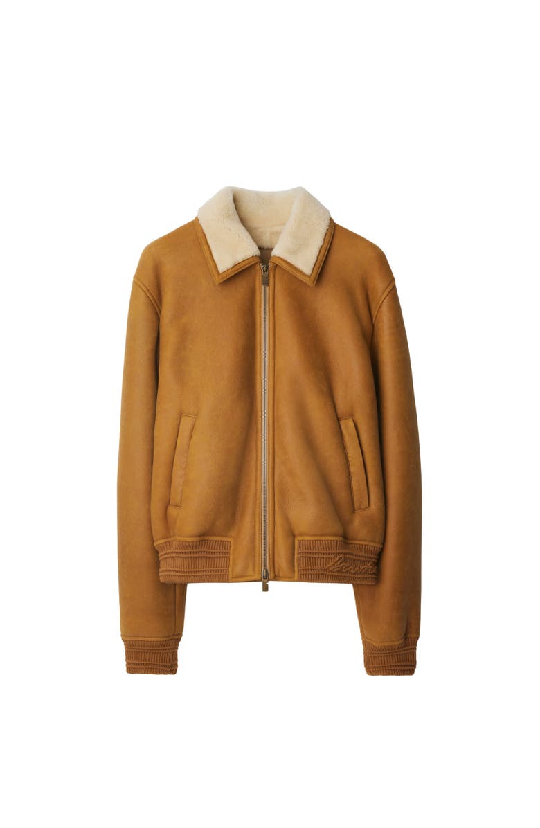 Burberry Shearling Harrington Jacket, Alternate, color, 