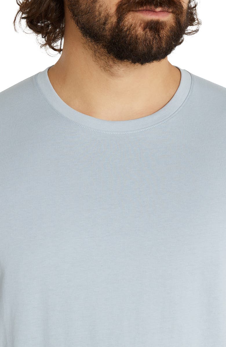 Johnny Bigg Essential Crewneck T-Shirt, Alternate, color, 