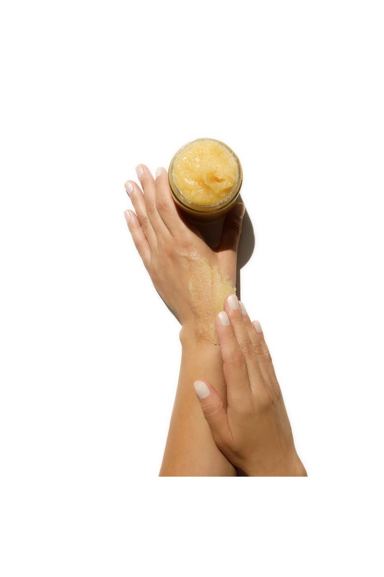 Cactus Flower Exfoliant, Alternate, color, NO COLOR