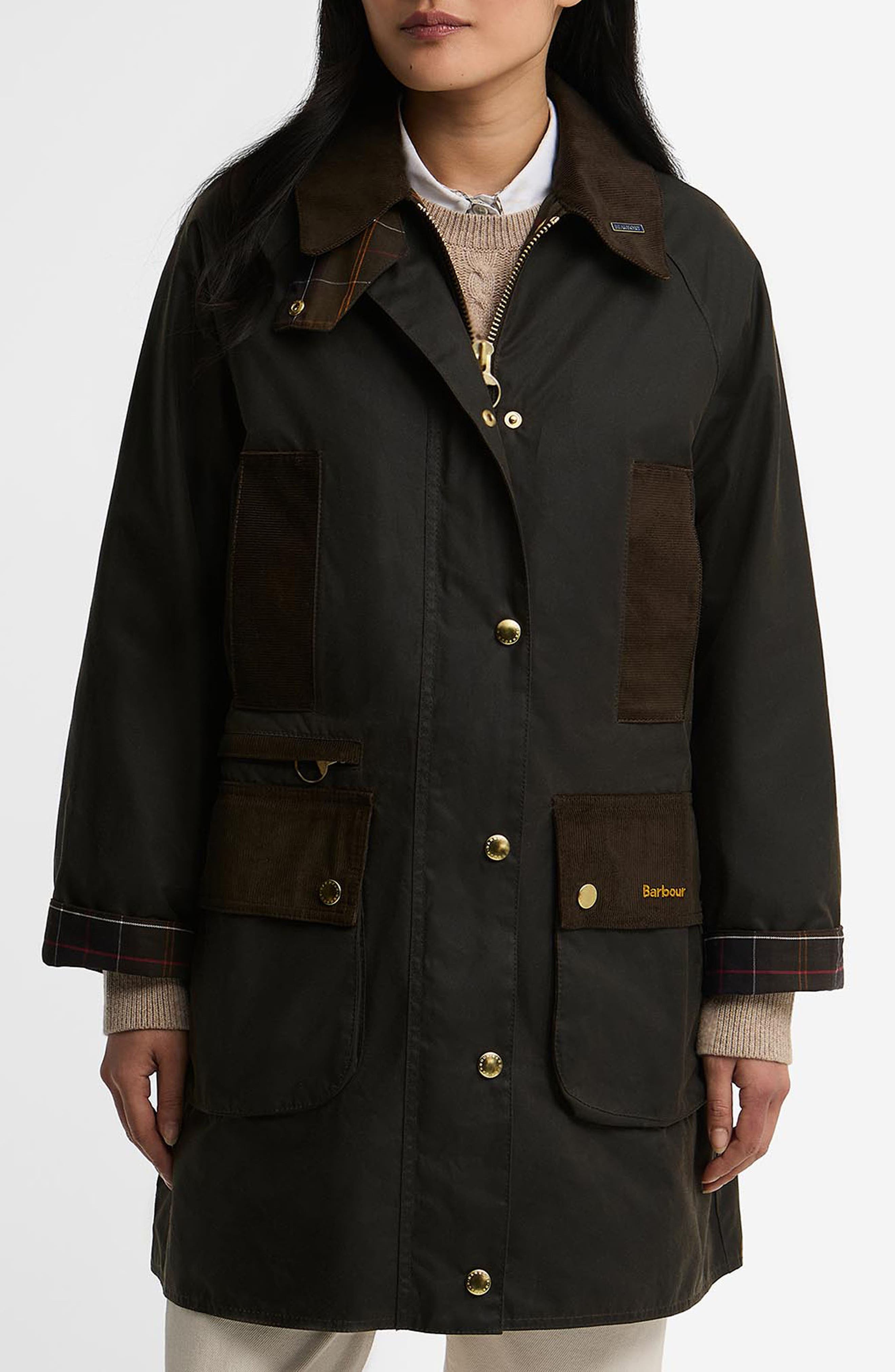 selected OLIVE/ CLASSIC