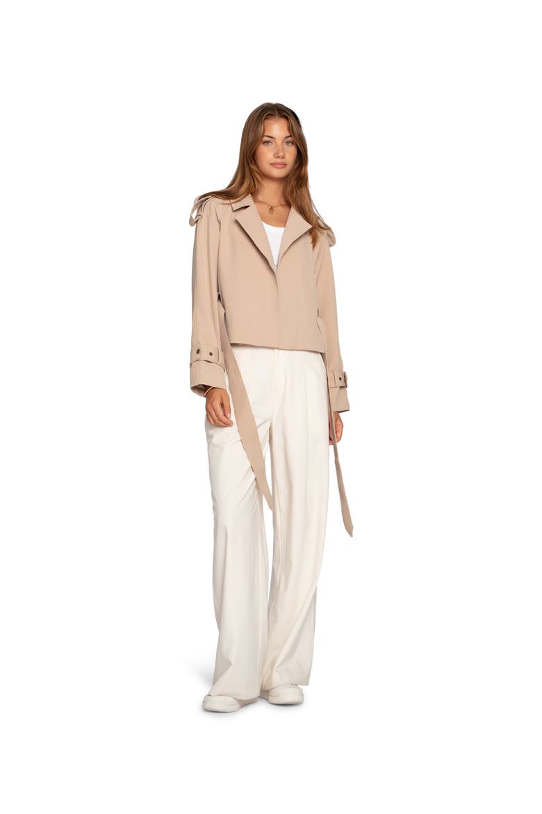 Fast Car Cropped Trench, Alternate, color, Light Beige