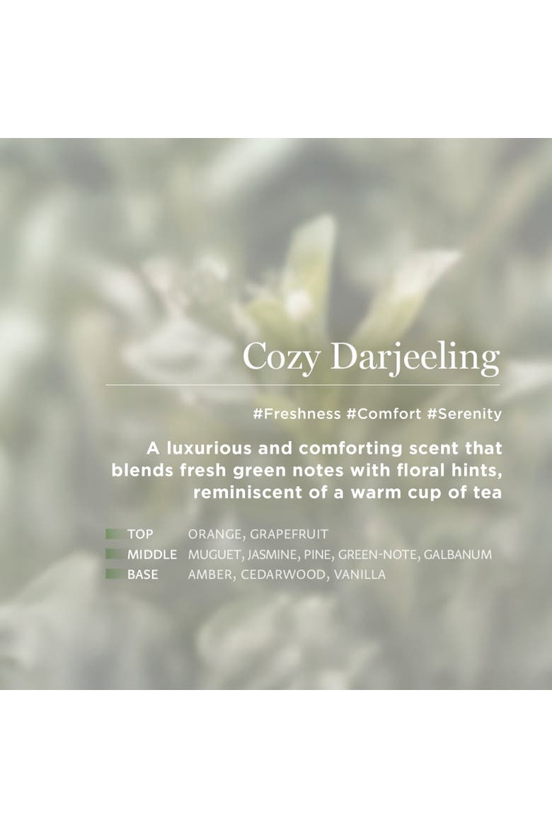 Eau Thermale Scrub Body Wash Cozy Darjeeling 2 Pack, Alternate, color, 500ml (16.9 fl oz.) x 2