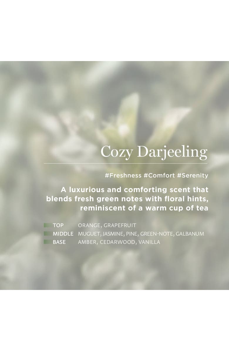 KUNDAL Eau Thermale Scrub Body Wash Cozy Darjeeling 2 Pack, Alternate, color, Brown