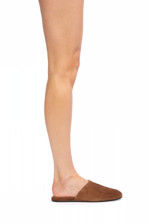Black Suede Studio Shiloh Mule In Brown