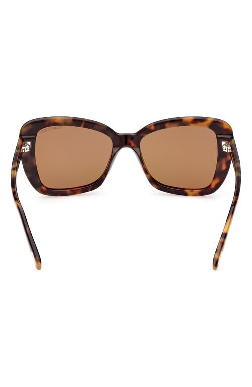 Tom Ford Maeve 55mm Gradient Butterfly Sunglasses