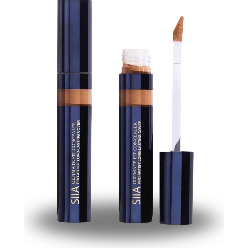 Siia Cosmetics 2-pc. Ultimate Fit Concealer Duo In Brown