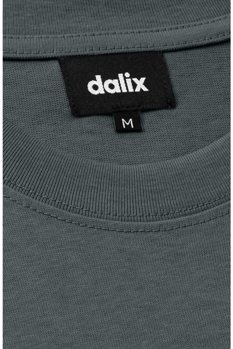 Mens Alien Heavyweight Relaxed Tee, Alternate, color, Space Gray