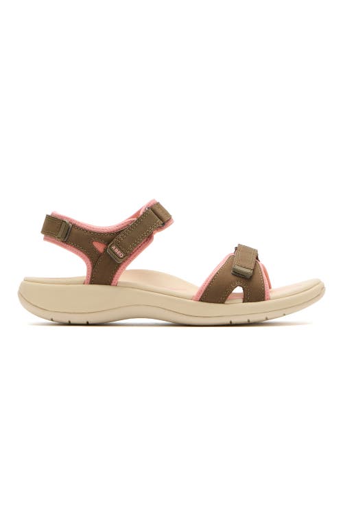 Abeo Goleta Sandal In Brown