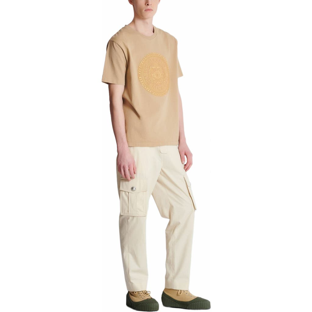 Balmain Embroidered Medallion T-shirt In Brown