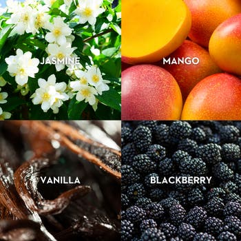 Mango Skin Eau de Parfum
