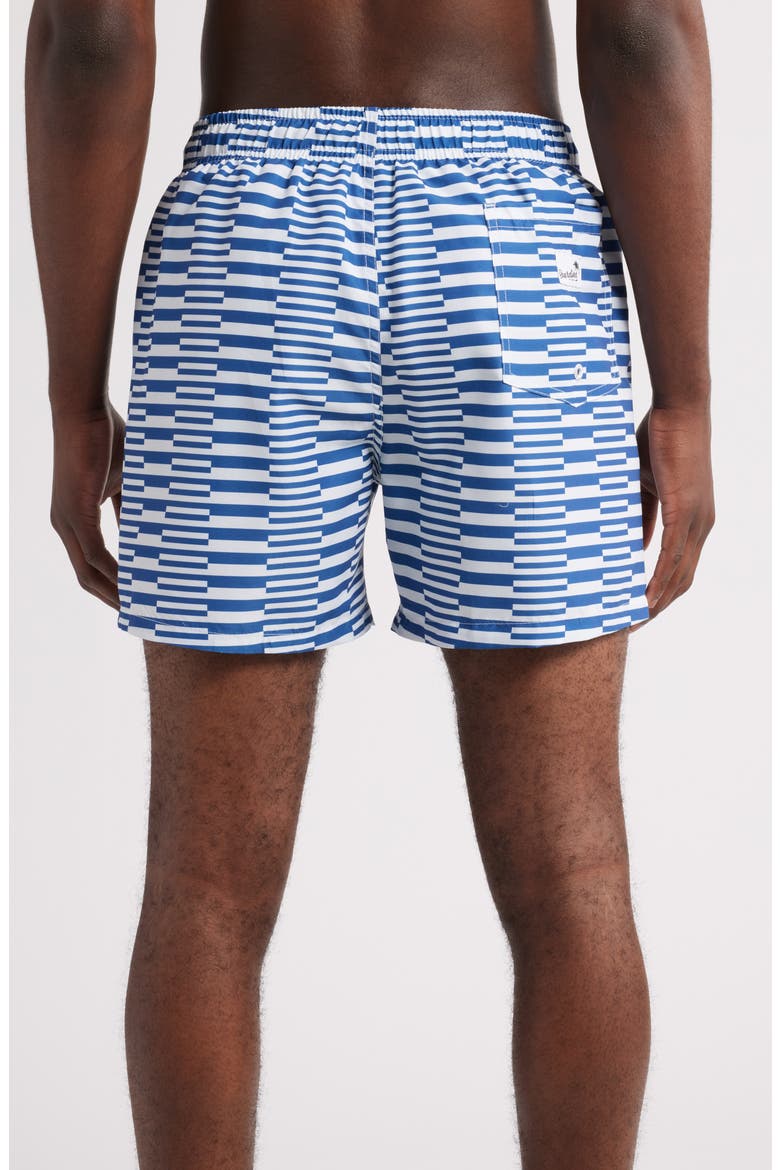 Stripe Swim Trunks, Alternate, color, NAVY/ WHITE