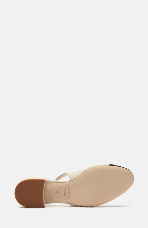 Shop Scarosso Coco High Heels