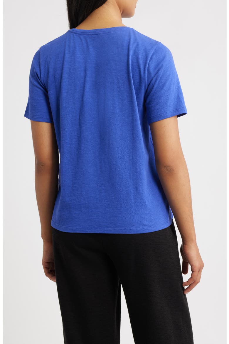 Easy V-Neck Organic Cotton T-Shirt, Alternate, color, ROYAL