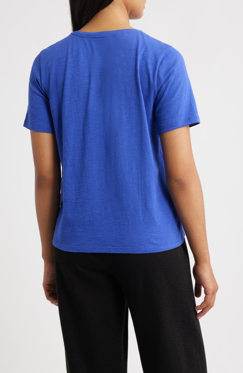 Eileen Fisher Easy V-Neck Organic Cotton T-Shirt, Alternate, color, Royal