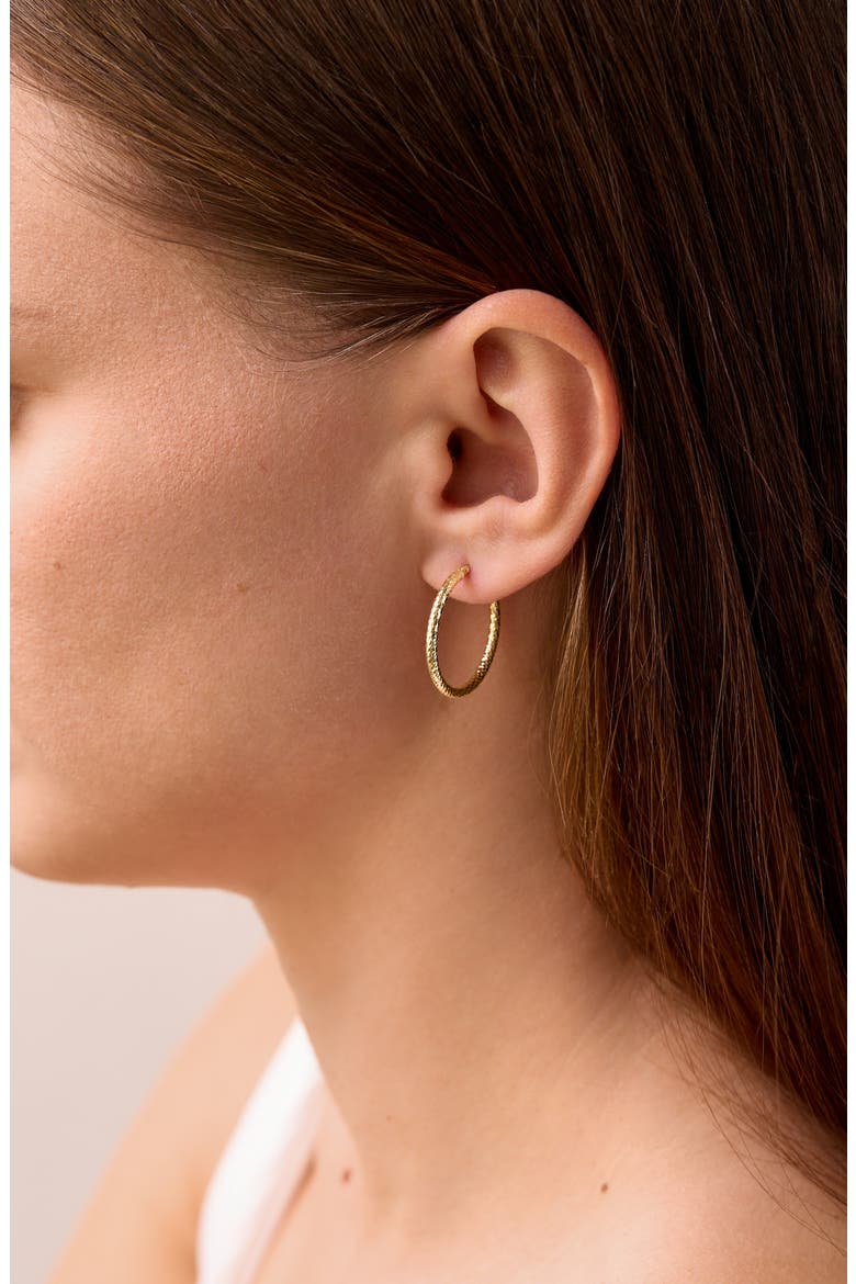 14k Gold Textured Hoop Earrings, Alternate, color, YELLOW GOLDDNU