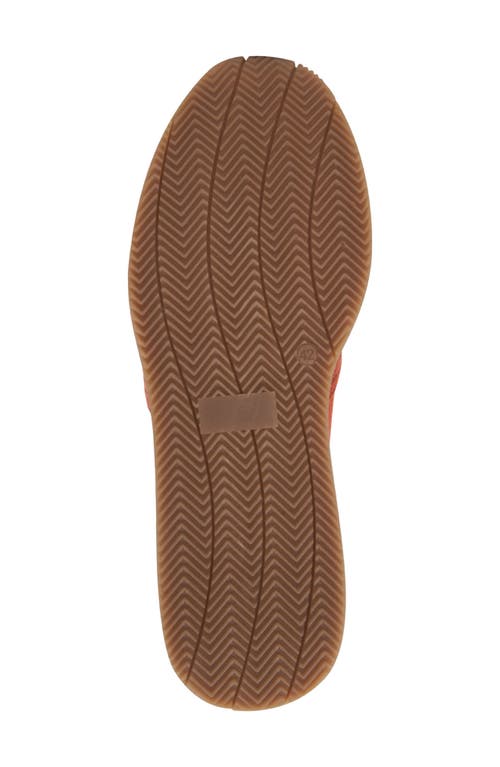 Bruno Magli Capri Sneaker In Sunset Suede