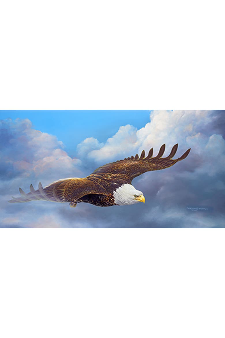 Cloud Nine 500 piece Jigsaw Puzzle for Adults, Alternate, color, Multicolor