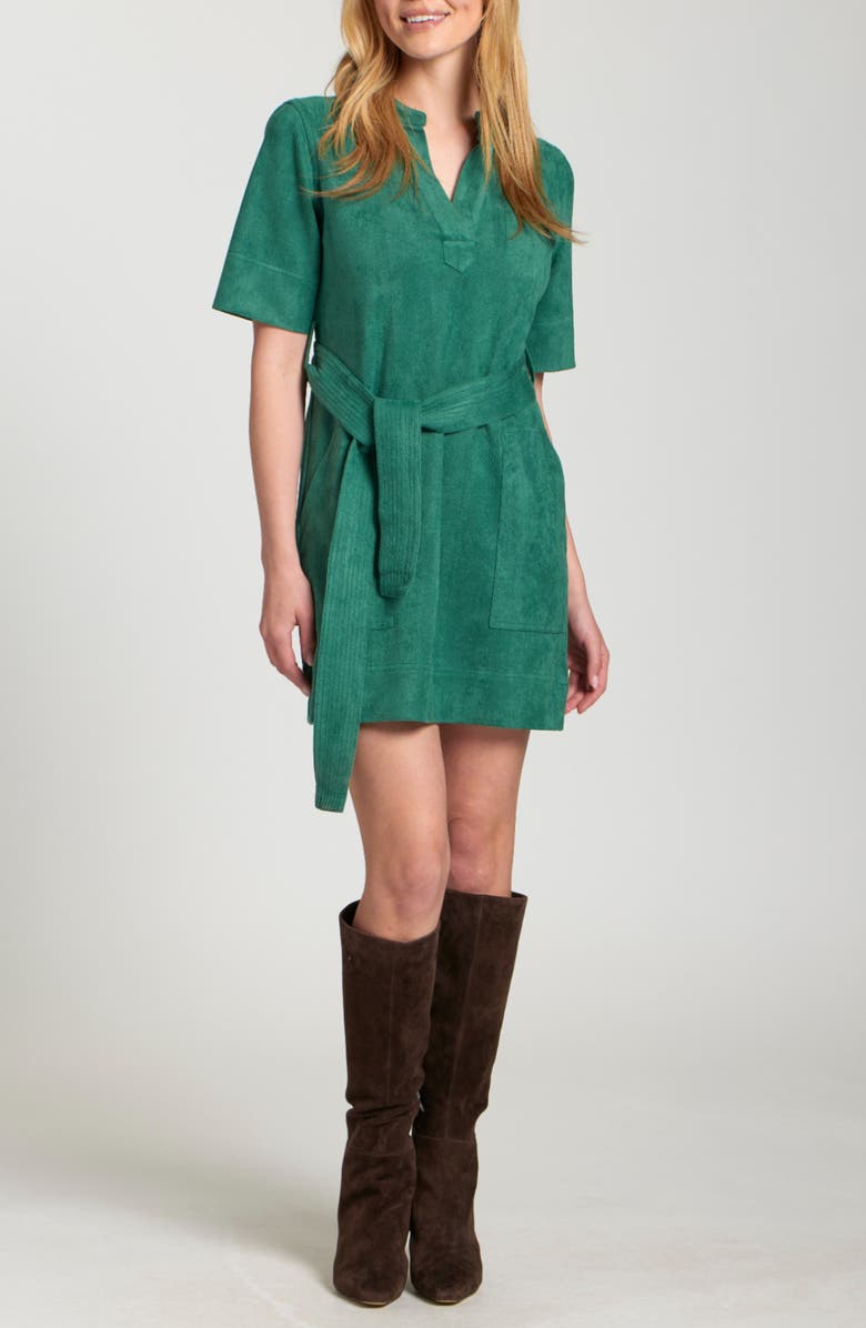 APNY Faux Suede Belted Dress, Main, color,