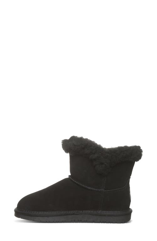 Bearpaw Wren Faux Shearling Lined Bootie In Black