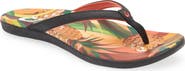 OluKai Ho'opio Hau Flip Flop