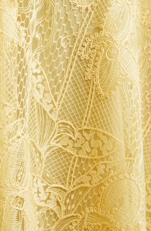Oscar De La Renta Orchid Threadwork Floral Lace Fit & Flare Dress In Banana