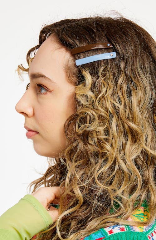 Chunks Slides Set Of 4 Assorted Barrettes In Brown/periwinkle