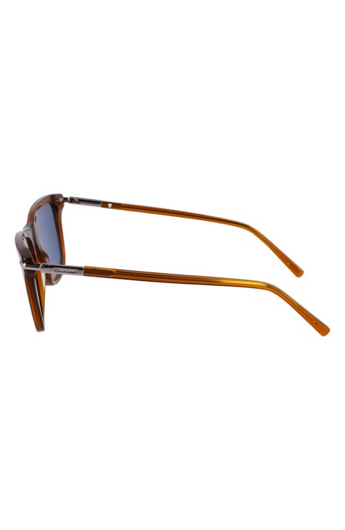 Ferragamo 54mm Modified Rectangular Sunglasses In Transparent Brown