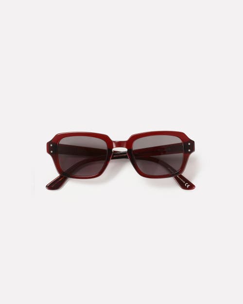 Epokhe Wilson Sunglasses In Brown