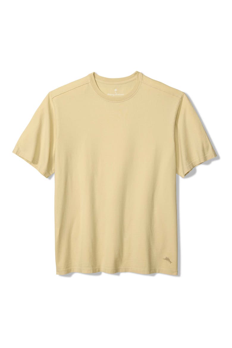 Kauai Keys T-Shirt, Main, color, ABALONE
