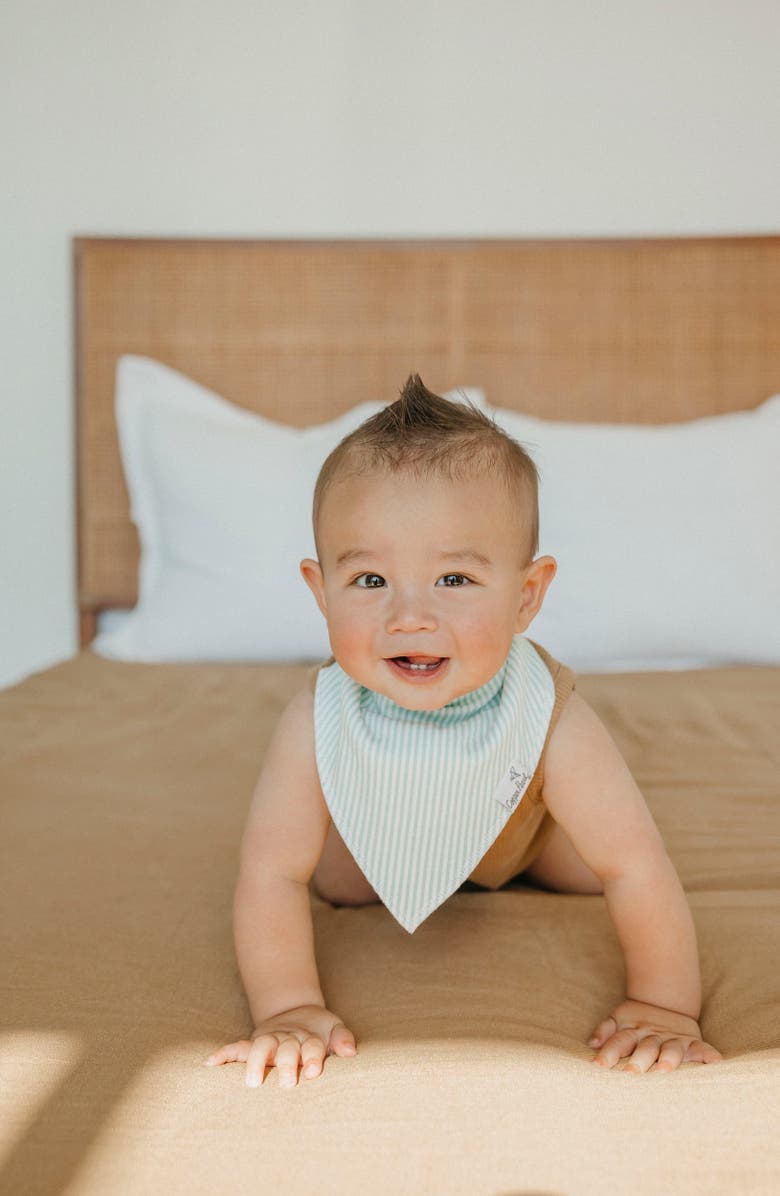 Copper Pearl 4-Pack Bandana Bibs, Alternate, color, Bailey