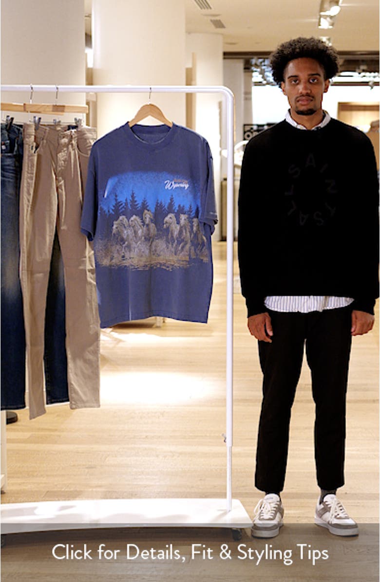 Wild Lands Graphic T-Shirt, sales video thumbnail