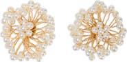 SAACHI Faux Pearl Wire Stud Earrings