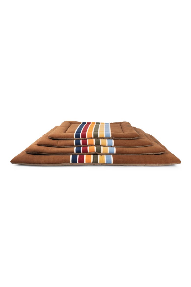 National Park Comfort Cushion, Alternate, color, JOSHUA TREE