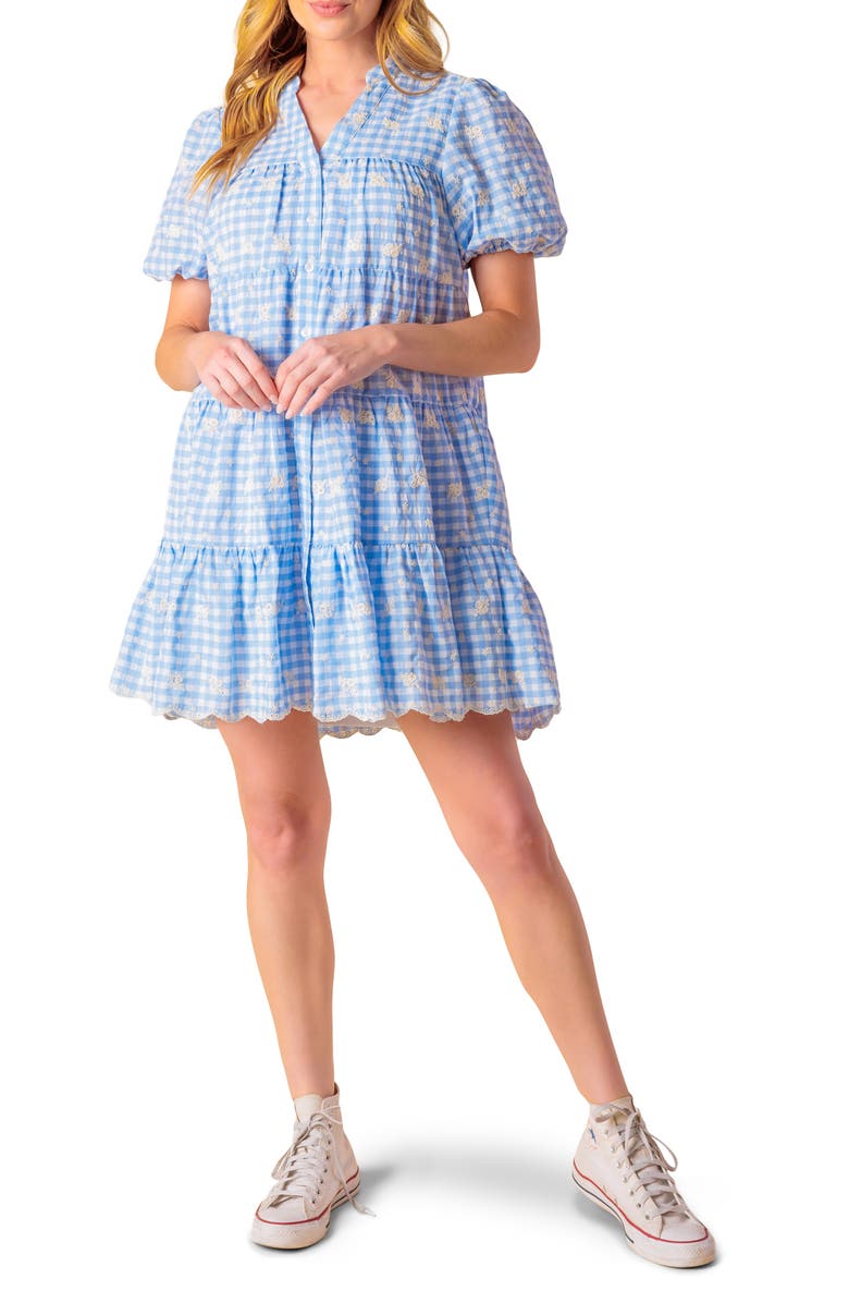 FLYING TOMATO Floral Embroidered Gingham Puff Sleeve Babydoll Dress, Main, color, Powder Blue