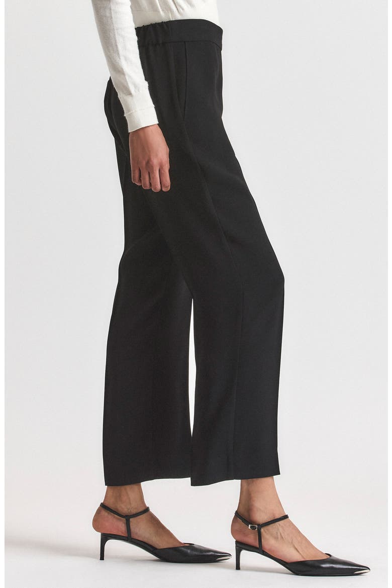 Reagan Ankle Pants, Alternate, color, BLACK