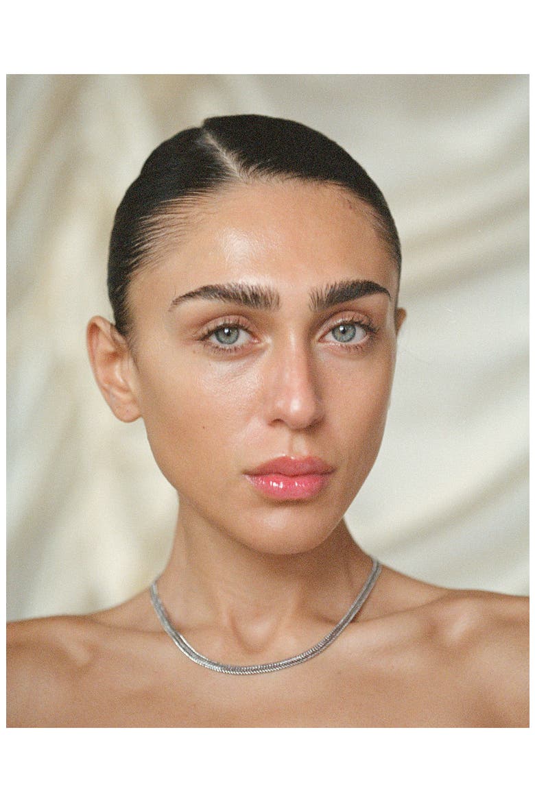 The Arezou Snake Chain Collar Necklace, Alternate, color, SILVER