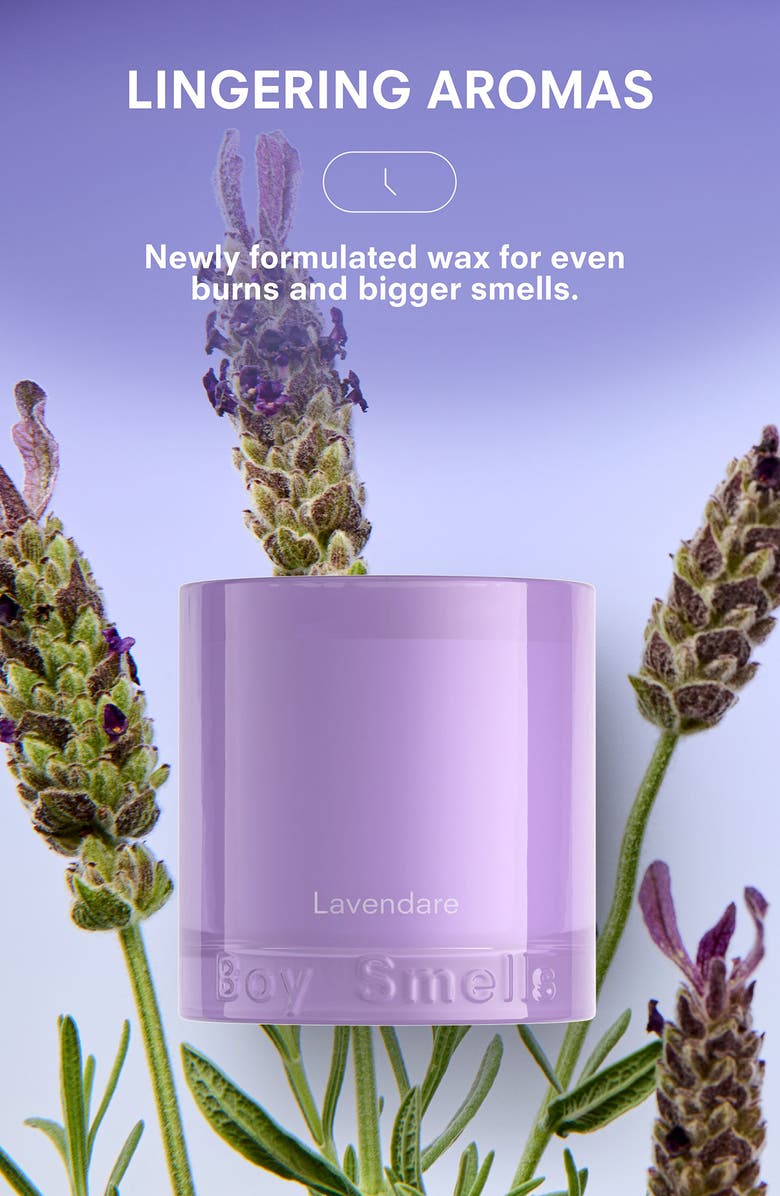 Boy Smells Lavendare Candle, Alternate, color,