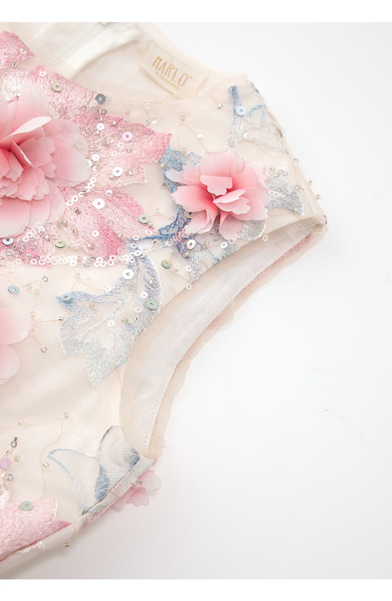 Marlo Kids Rosalia Embroidered Mini Dress, Alternate, color, Floral