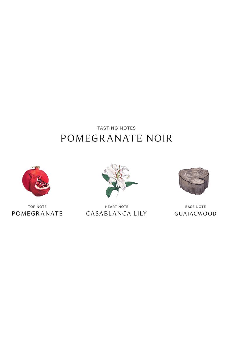 Pomegranate Noir Scent Surround™ Diffuser, Alternate, color, NO COLOR