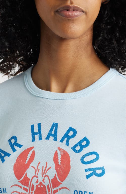 Vinyl Icons Bar Harbor Graphic Baby Tee In Nantucket Breeze