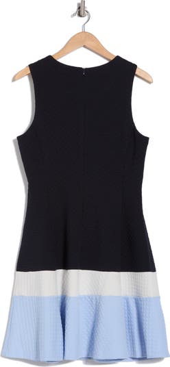 Colorblock Sleeveless Fit & Flare Dress