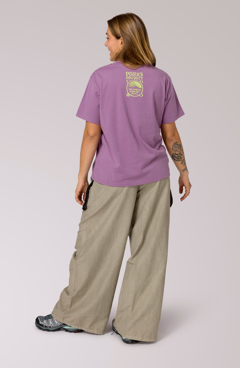 Parks Project Dark Sky Scale Relaxed Tee, Alternate, color, Vintage Plum