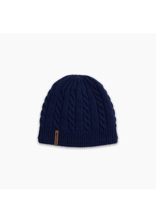 Turtle Fur Wesley Winter Hat In Blue