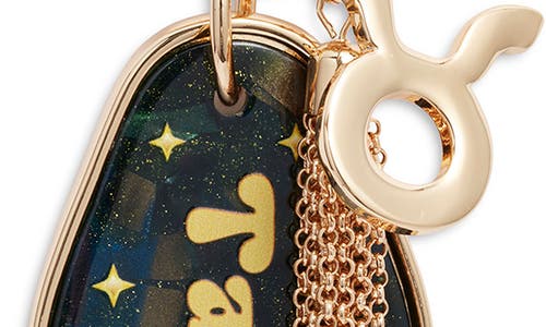 Chelsea28 Horoscope Bag Charm In Gold