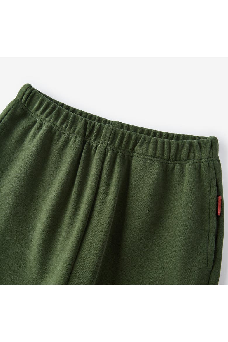 Brushed Jogger, Alternate, color, Dark Green