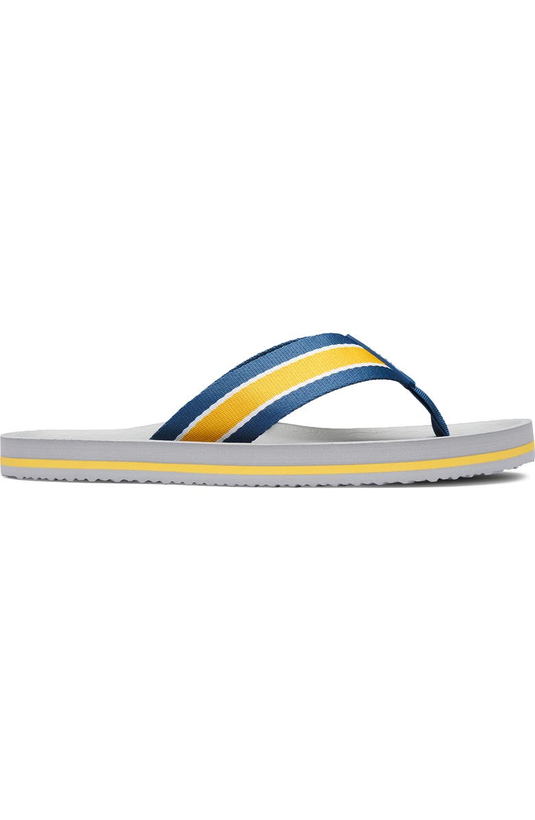 Swims Capri Flip Flop Sandal, Alternate, color,
