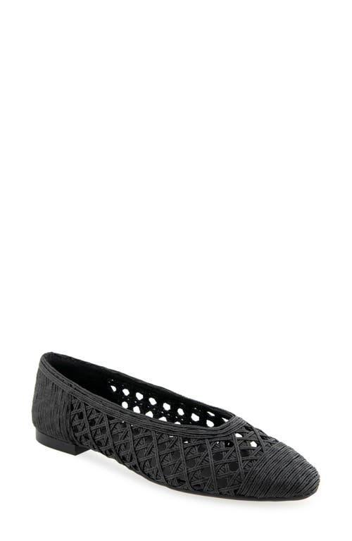 AEROSOLES AEROSOLES ARNO RAFFIA BALLET FLAT